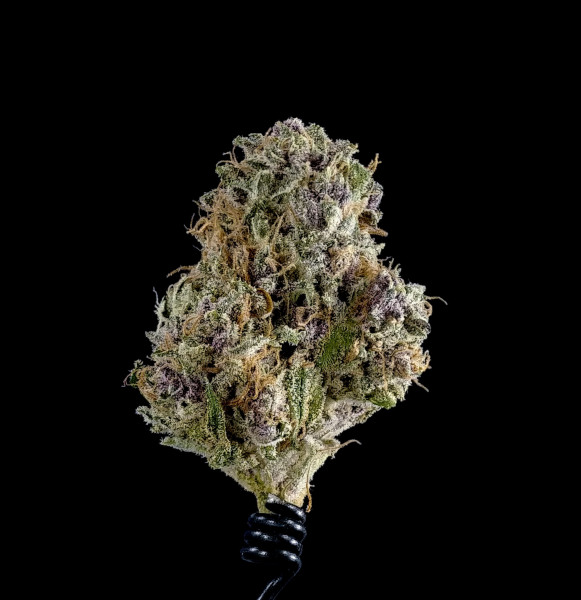 Strawberry Mamba, Kronik Cannabis